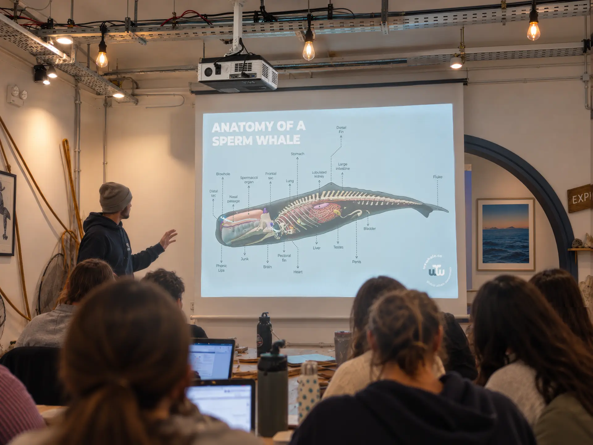 WeWhale — 01