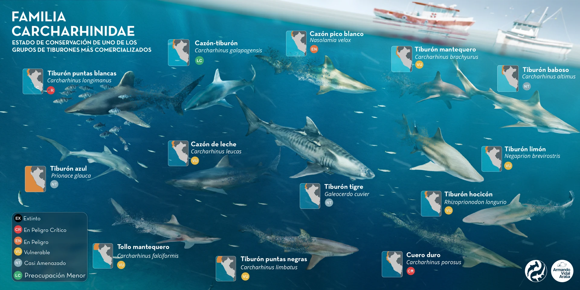 Sustainable Ocean Alliance Peru